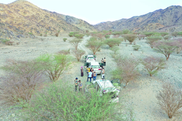 First phase to document the path of Prophet’s journey completed