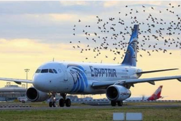 EgyptAir offers discounts on flights between Cairo and Saudi Arabia cities