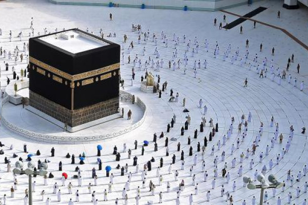 Haj operators hit by new virus protocols